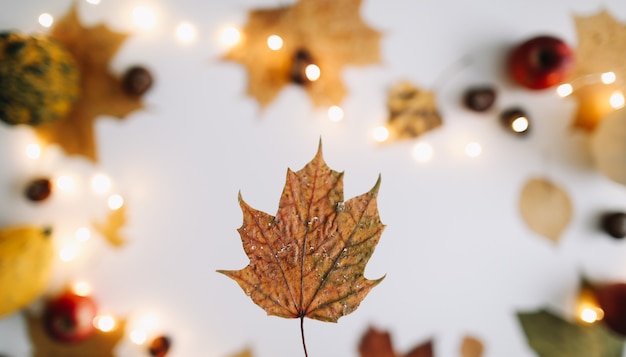Осенняя рамка и осенняя текстура с листьями Хэллоуин День благодарения фон