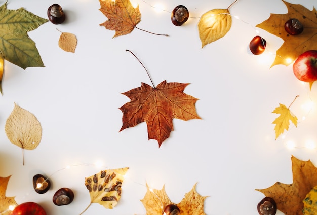 Autumn frame and  fall texture with leaves Halloween Thanksgiving day background