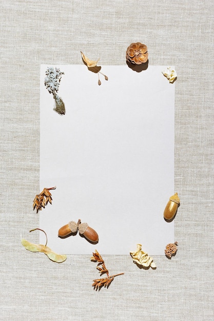 autumn Frame made natural materials pine cones acorns moss dry plants berries with paper empty space