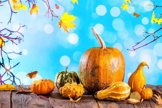 Autumn frame with pumpkins on wooden table and orange leaves against blue sky