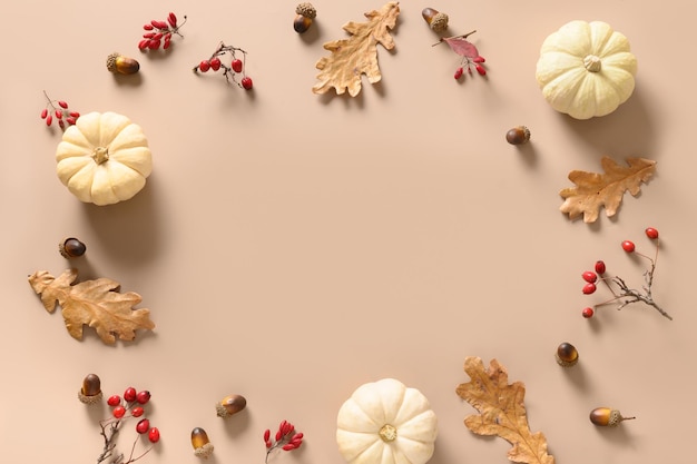 Autumn frame with white pumkins and red berries dry oak leaves