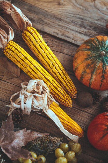 Photo autumn fruit setting