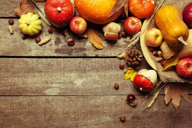 Autumn fruits