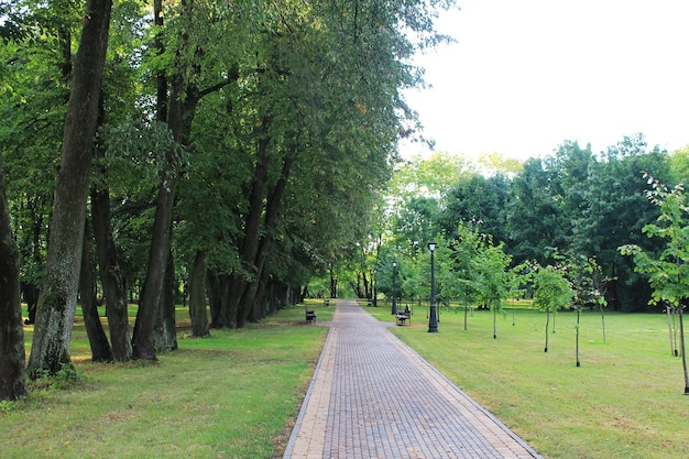 Autumn fun colors of autumn path leading to the autumn kingdom