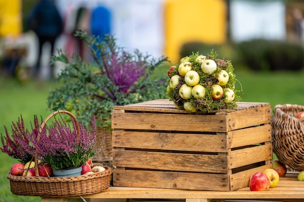 Autumn garden decorations with fruits vegetables and flowers