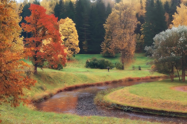 autumn in germany / city park in europe, germany autumn landscape