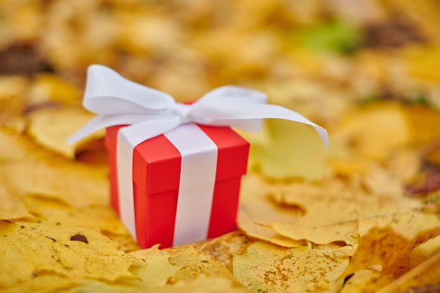 Autumn gift box