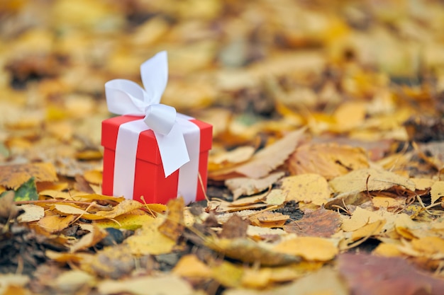 Autumn gift box