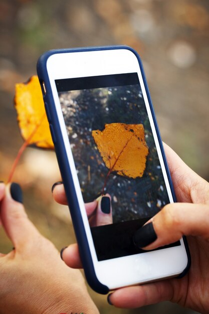 Autumn - girl holds a yellow leaf and shoots on the phone