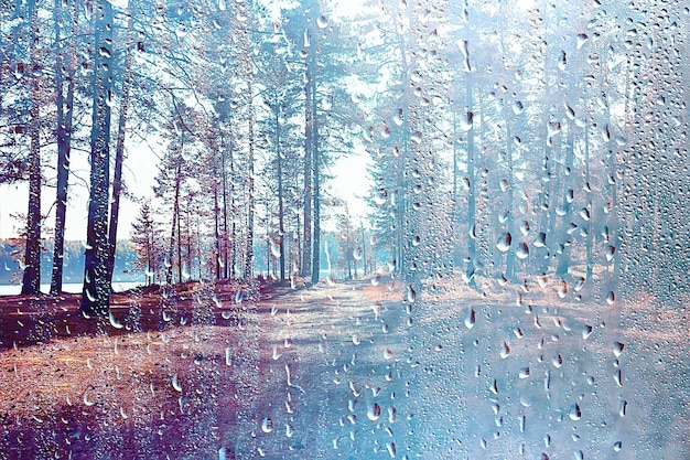 Autumn glass rain landscape / abstract autumn view, wet\
weather, climate, glass