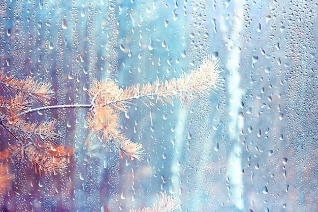 осенний стеклянный дождь пейзаж / абстрактный осенний вид, влажная погода, климат, стекло