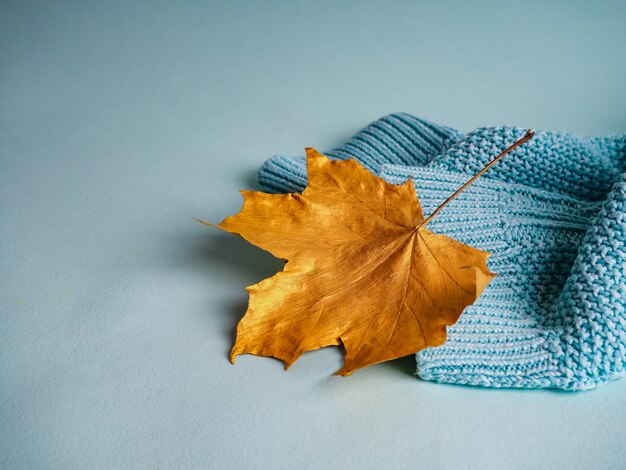 Autumn gold leaves painted on blue a warm blanket, the concept of autumn