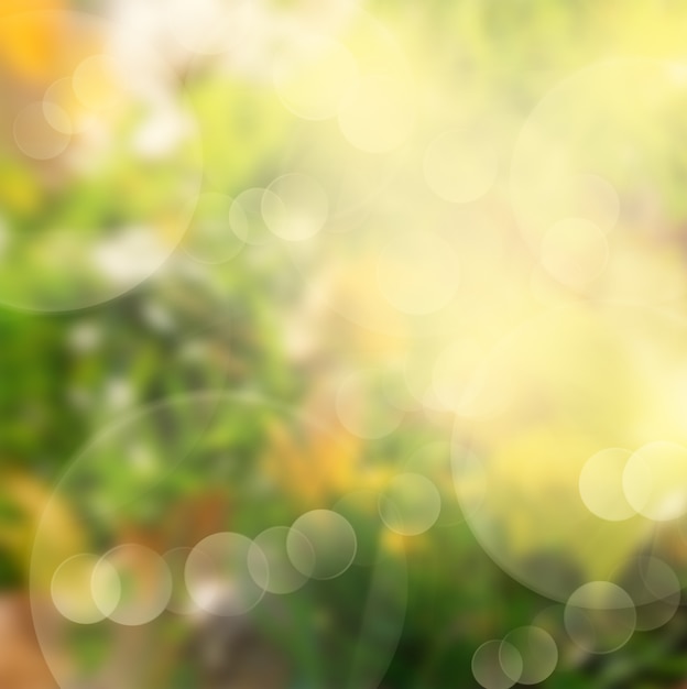 Foto fondo del bokeh dell'erba verde e gialla di autunno con i raggi del sole