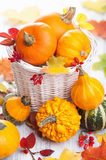 Autumn halloween decorative pumpkins in basket