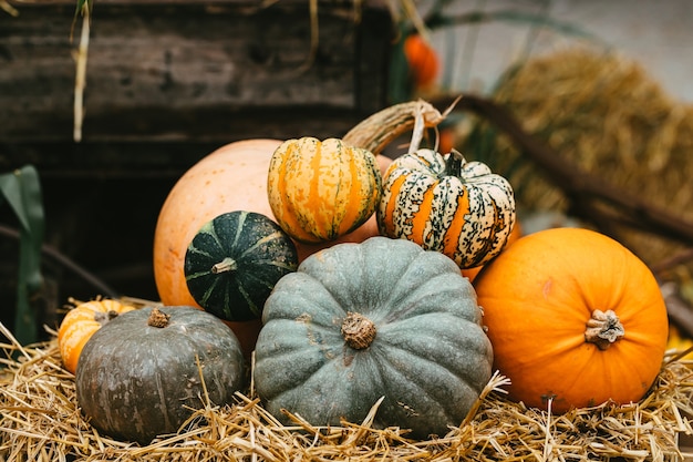 カボチャと秋のハロウィーンの屋外の装飾