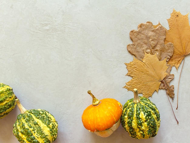 Foto zucche di halloween di autunno, fondo grigio