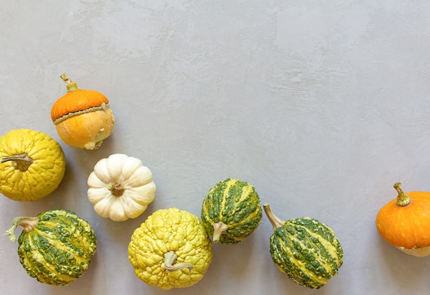 Photo autumn halloween pumpkins, gray background