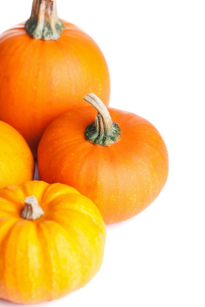 Autumn halloween pumpkins isolated