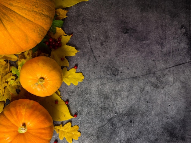 Autumn halloween pumpkins on wooden background