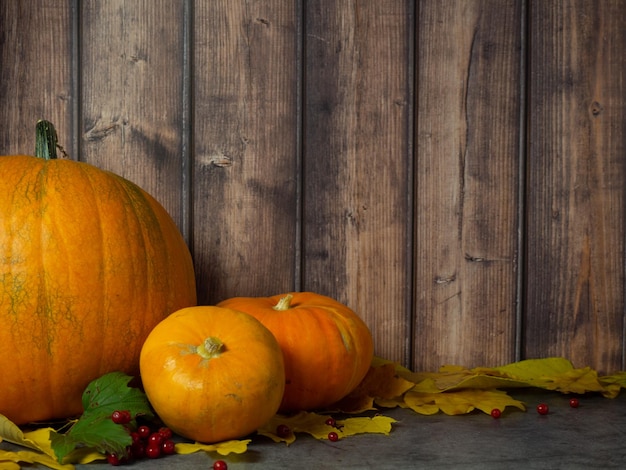 Autumn halloween pumpkins on wooden background