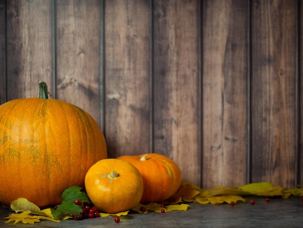 Autumn halloween pumpkins on wooden background