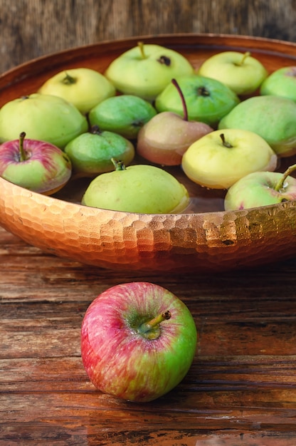 Autumn harvest of apples