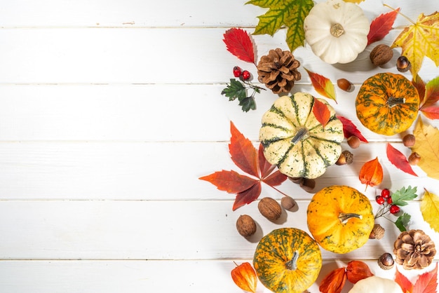 Autumn and Harvest background