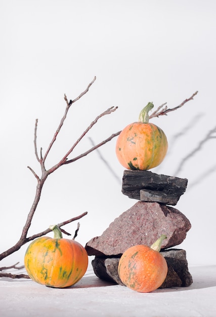 Photo autumn harvest concept with wooden branch, stones and pumpkin on white background, deep shadow.