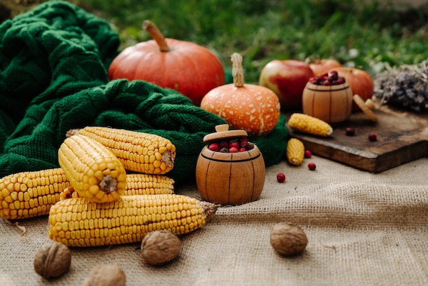 Autumn harvest corn apples lavender large orange pumpkin nuts red berries on a green knitted scarf 4