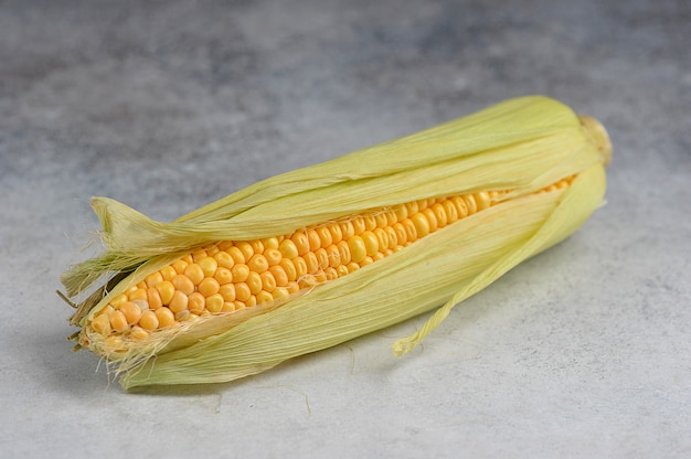 Autumn harvest ear of corn