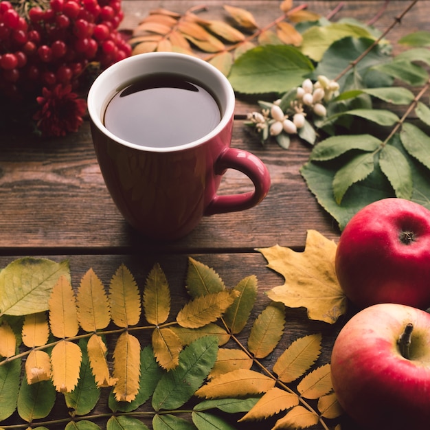 Autumn harvest. Fall leaves assortment wall. Hot beverage concept