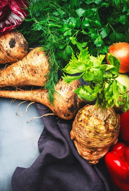 秋の収穫食品の背景に野菜の根、セロリ、大根、パースニップ、パプリカ、にんじん、灰色のテーブルの上