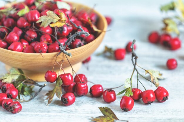 Autumn harvest Hawthorn berry with leaves in bowl on a light wooden table background Copy space Natural remedy