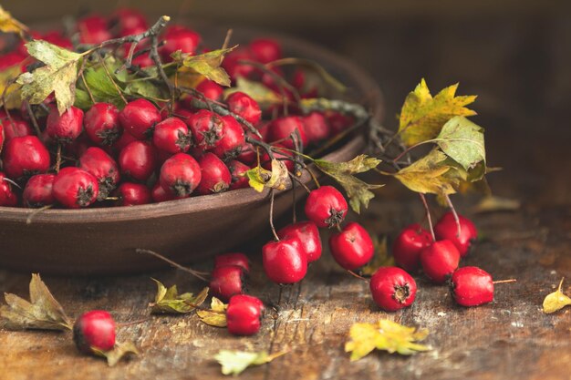 Autumn harvest Hawthorn berry with leaves in bowl on a wooden table background Copy space Dark rustic style Natural remedy