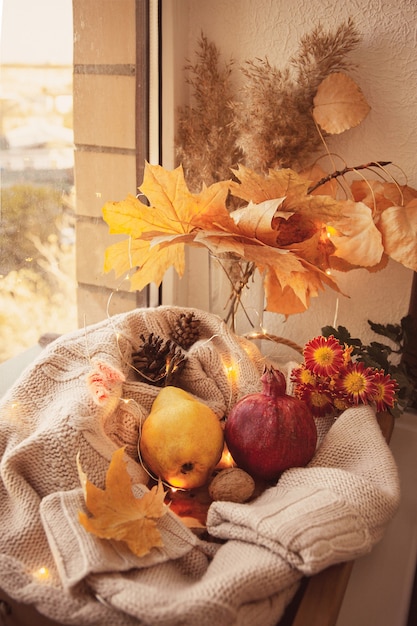 사진 가을 수확 : 배, 석류, 견과류, 단풍, 모직 스웨터에 애 스터 꽃.