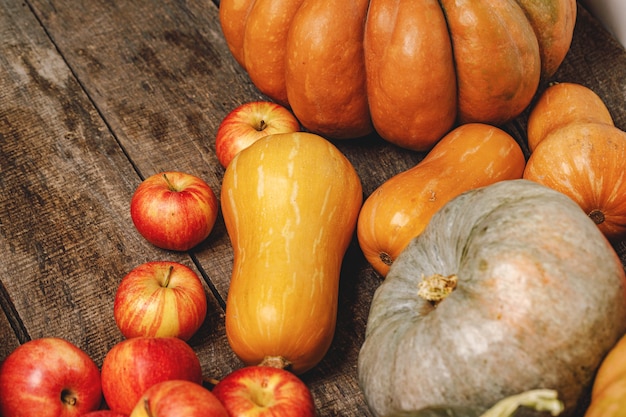 Autumn harvest of pumpkins and apples on wooden board