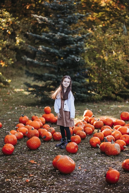 Autumn harvest of pumpkins Child and orange pumpkin at farm market or seasonal festival Cute little girl playing among pumpkins Thanksgiving holiday season and Halloween