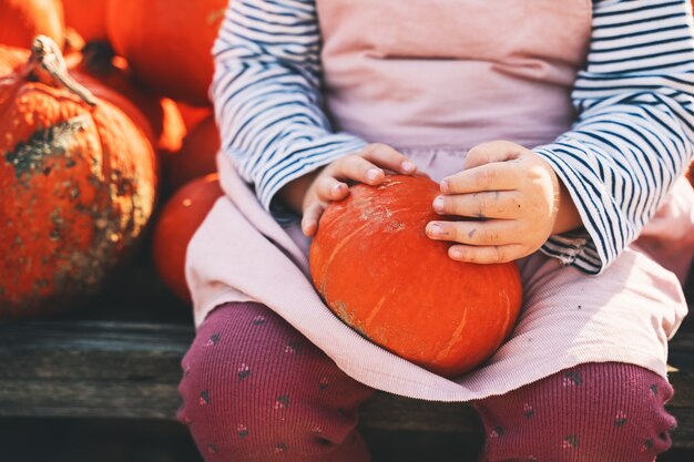 Autumn harvest of pumpkins Child picking orange pumpkin at farm market or seasonal festival