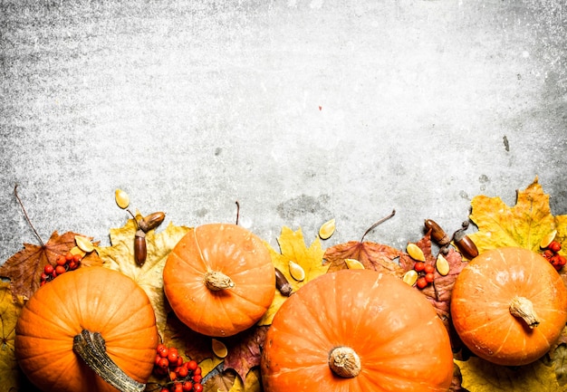 Photo autumn harvest pumpkins with autumn leaves on the stone table