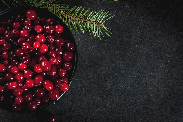 Autumn harvest, seasonal berries. Fresh raw cranberries in a black bowl, with  tree branches, on black table, top view 