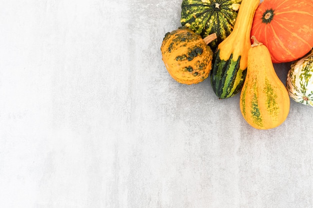 Autumn Harvest. Selection of various pumpkins on textured grey concrete, top view