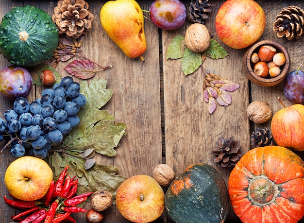 Autumn harvest still life frame background top view