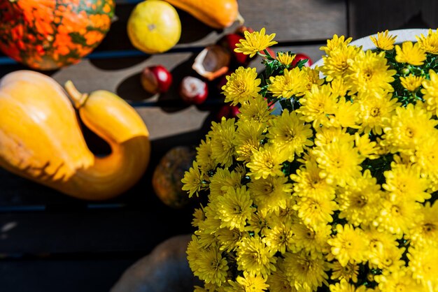 노란색 Chrysanthemum 꽃 어리와 함께 가을 수확 여전히 생명