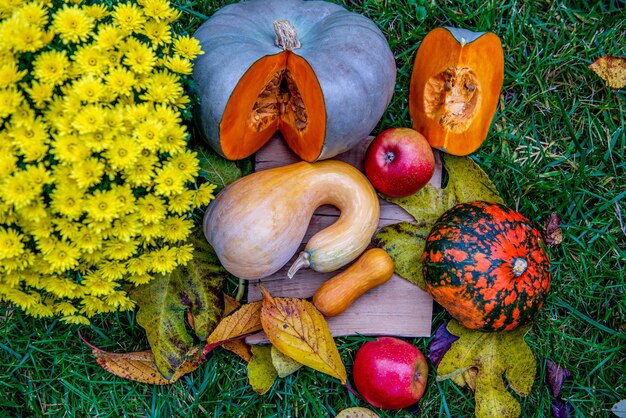 Foto raccolta autunnale natura morta con zucca gialla crisantemo mele hokkaido e fetta di zucca