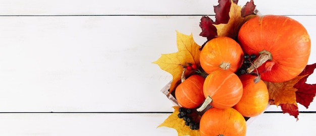 Autumn harvest and Thanksgiving Ripe pumpkins and yellow leaves on white background Banner format