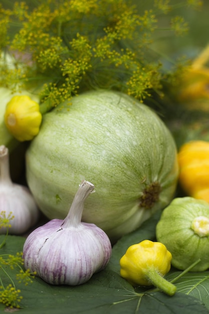 Autumn harvest of vegetables garlic squash and zucchini organic food background
