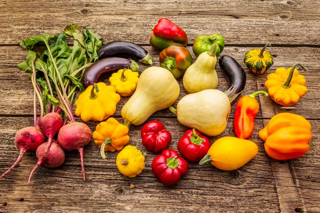 Autumn harvest vegetables. Set of beetroot, eggplant, pumpkin, pepper, zucchini, squash