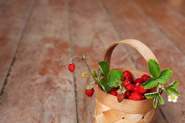 Autumn harvest in the village juicy berries