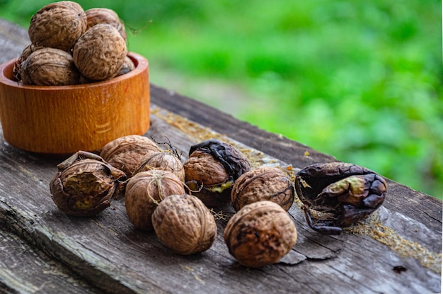 Autumn harvest of walnuts in the garden, lie on an old board.