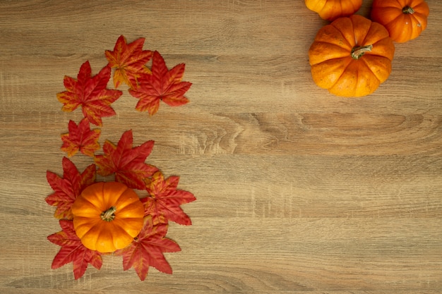 Autumn Harvested pumpkin on wooden